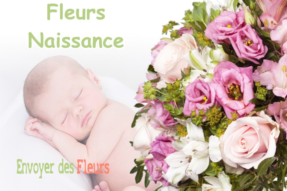 lIVRAISON FLEURS NAISSANCE à SAINT-JEAN-D-ETREUX